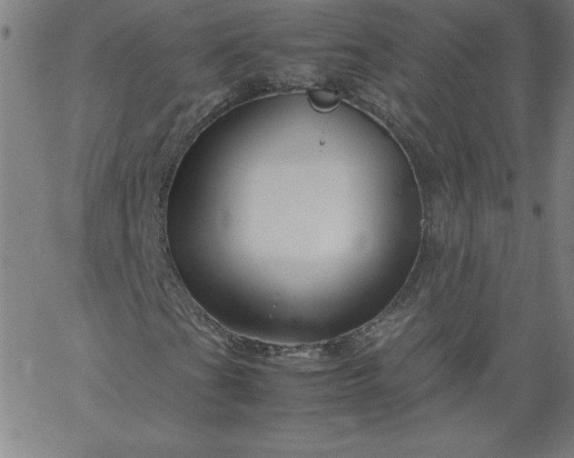 X0000067361201200604131807