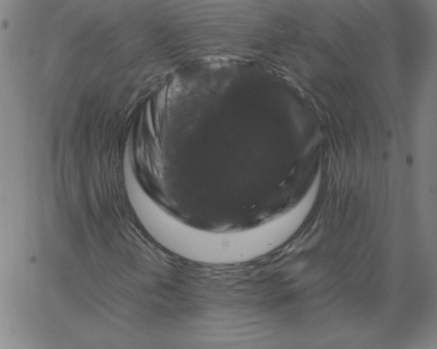 X0000067361202200604131807