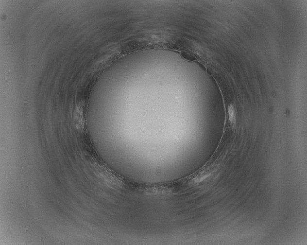 X0000067361203200604131807