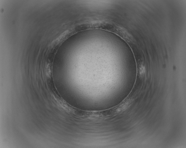 X0000067361204200604131807