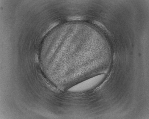 X0000067361209200604131808