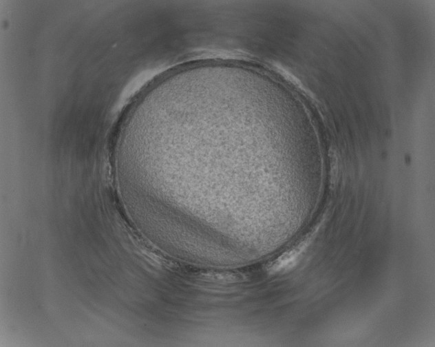 X0000067361215200604131808