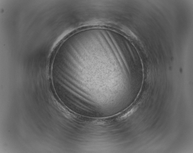 X0000067361216200604131808