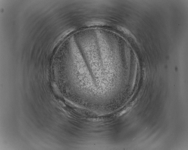 X0000067361217200604131808