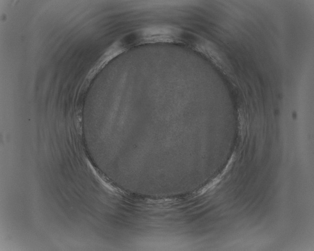 X0000067361225200604131808