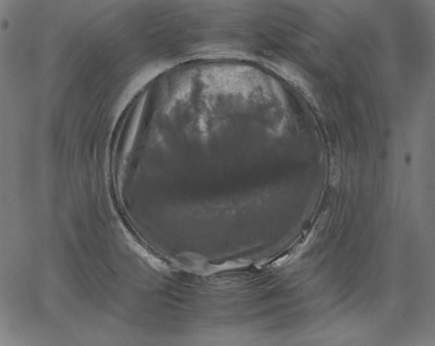 X0000067361231200604131808