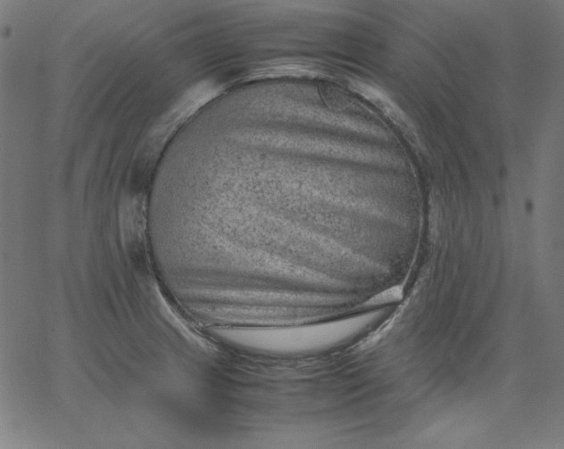 X0000067361233200604131808