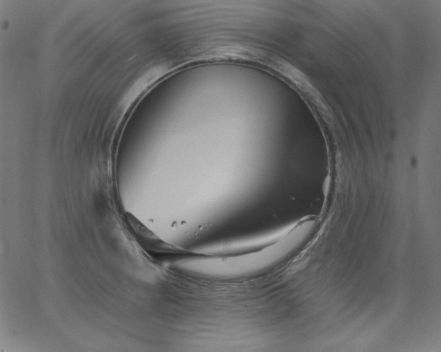 X0000067361234200604131808