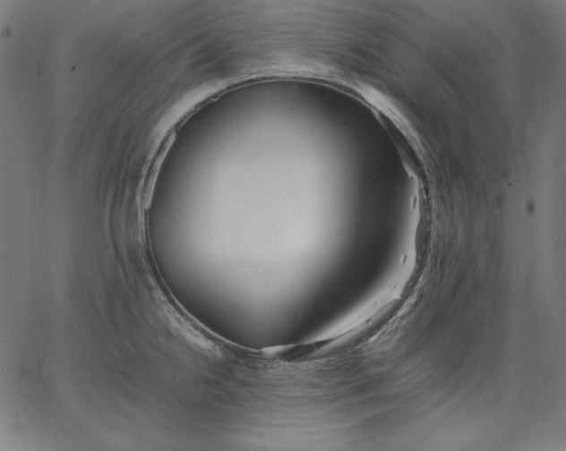 X0000067361238200604131808