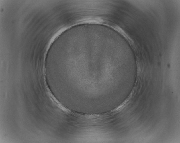 X0000067361240200604131808