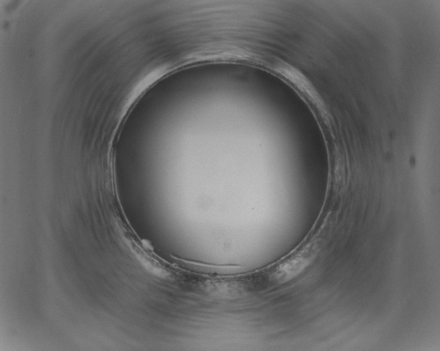 X0000067361242200604131808