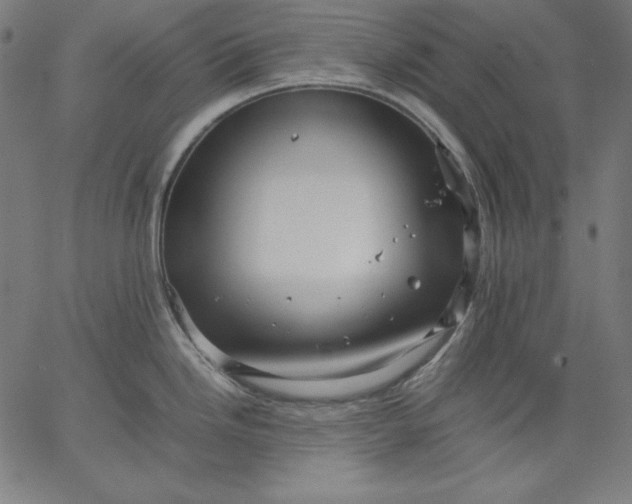 X0000067361246200604131808