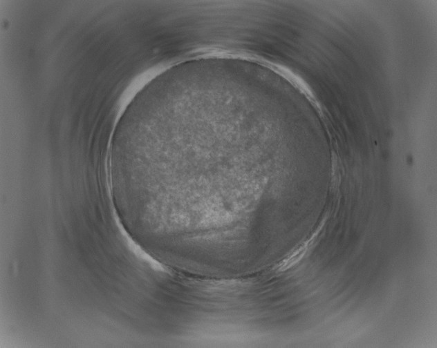 X0000067361247200604131808