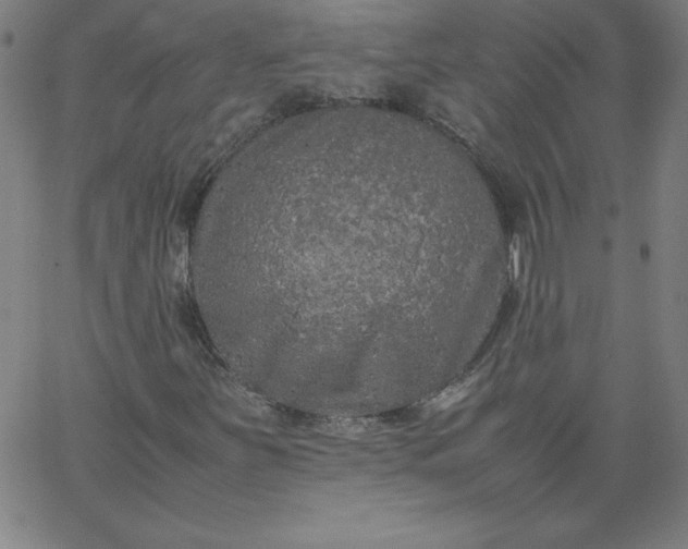 X0000067361251200604131807