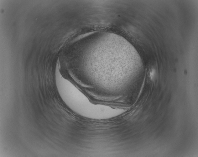 X0000067361252200604131807