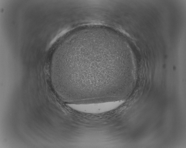 X0000067361255200604131807