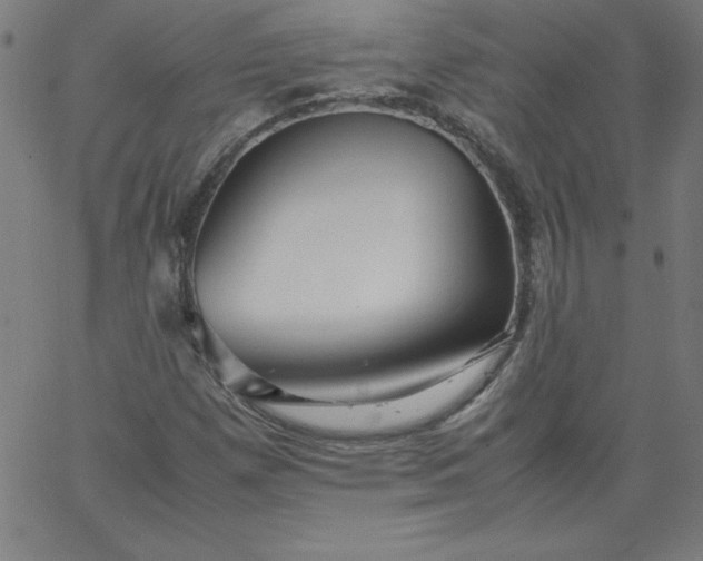 X0000067361257200604131807