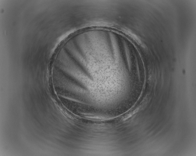X0000067361264200604131807