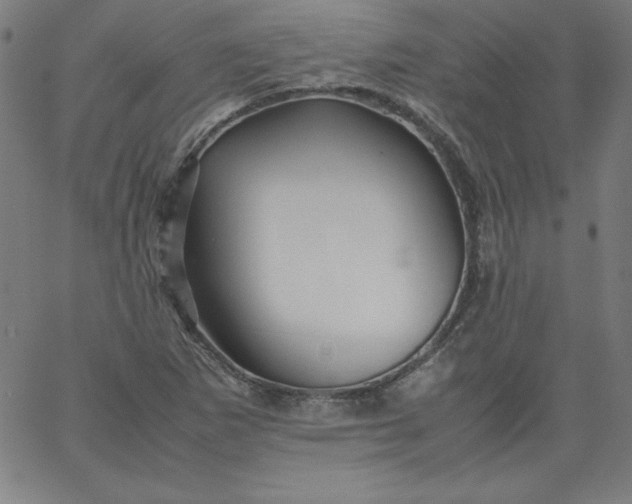 X0000067361265200604131807