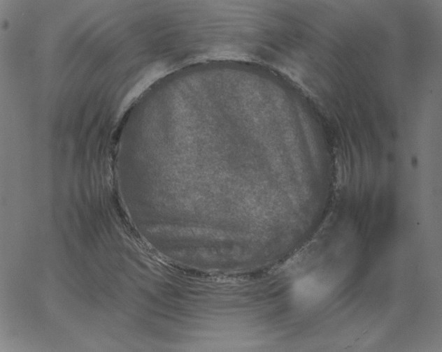 X0000067361266200604131807