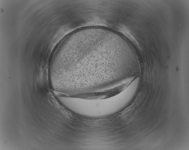 X0000067361268200604131807