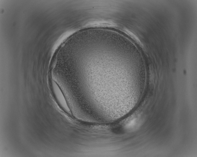 X0000067361277200604131807