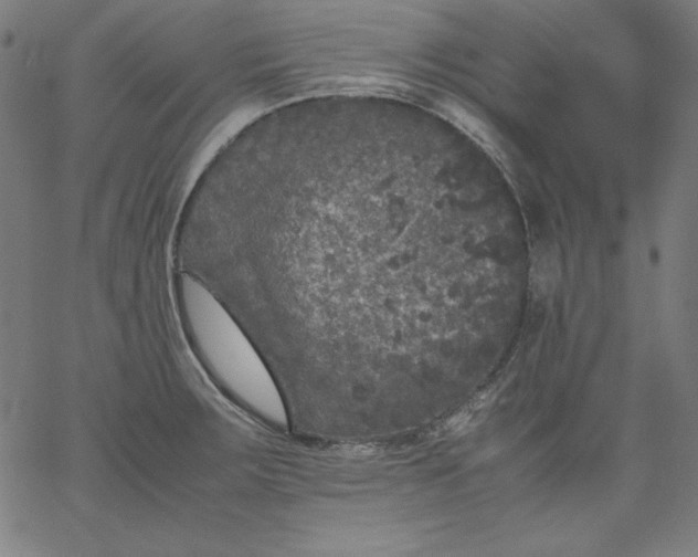 X0000067361283200604131807