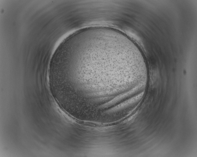 X0000067361288200604131807