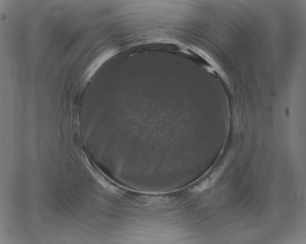 X0000067361289200604131807
