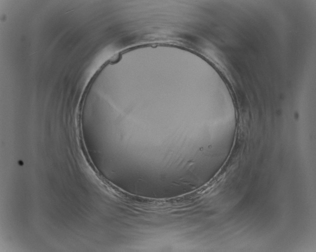 X0000067361291200604131807