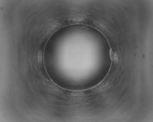X0000067361299200604131806