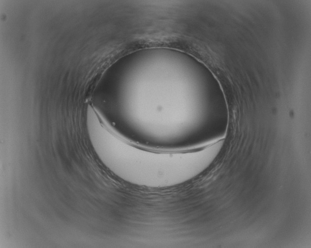 X0000067361300200604131806