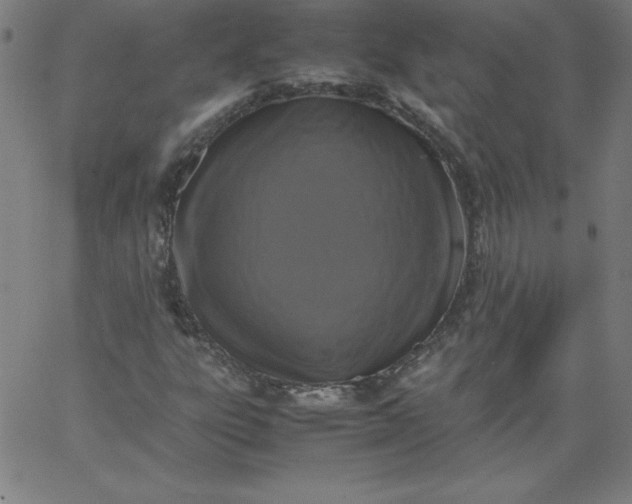 X0000067361303200604131806