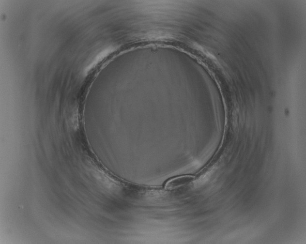 X0000067361306200604131806
