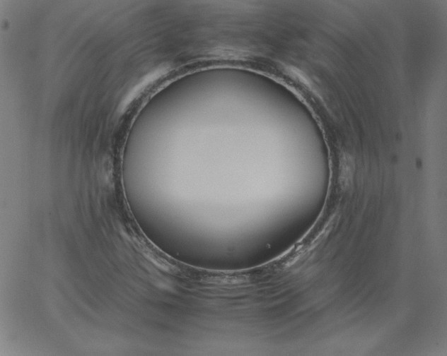 X0000067361307200604131806