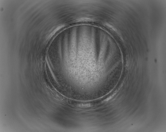 X0000067361313200604131806