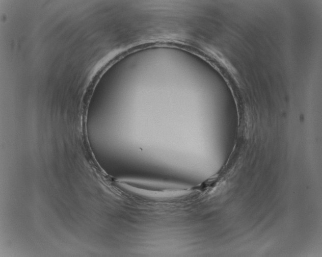 X0000067361316200604131806