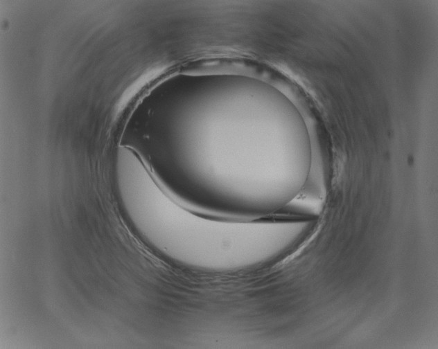 X0000067361317200604131806