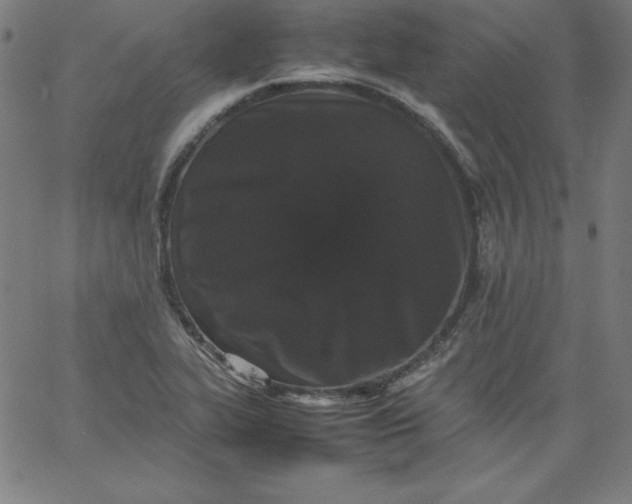 X0000067361319200604131806
