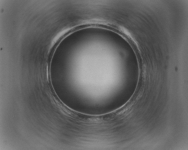 X0000067361320200604131806