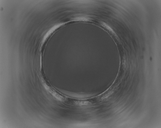 X0000067361323200604131806