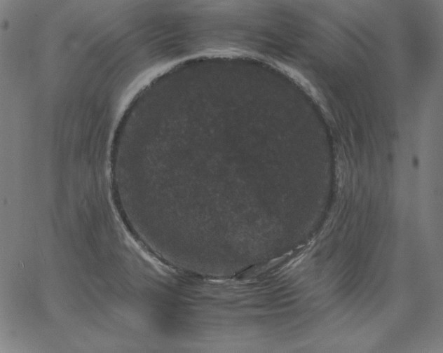 X0000067361327200604131806