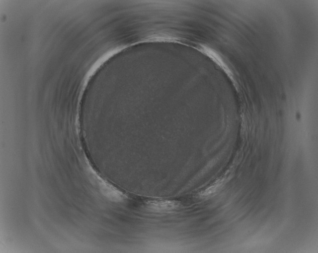 X0000067361331200604131806