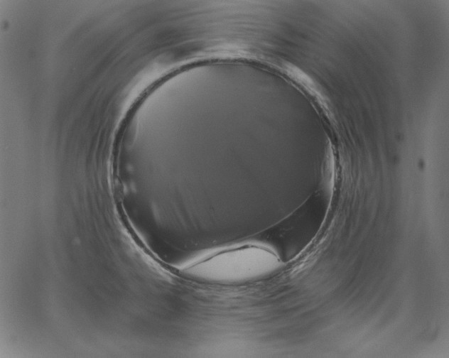 X0000067361334200604131806