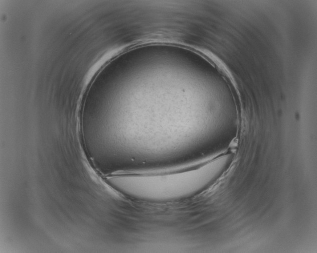 X0000067361341200604131807