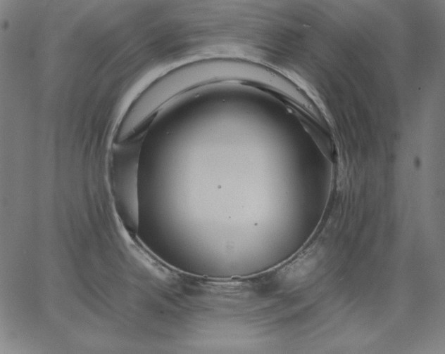 X0000067361342200604131807