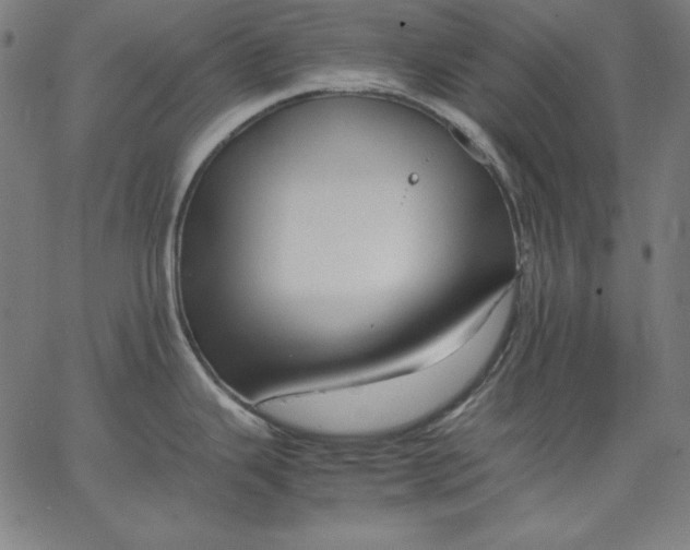 X0000067361343200604131807