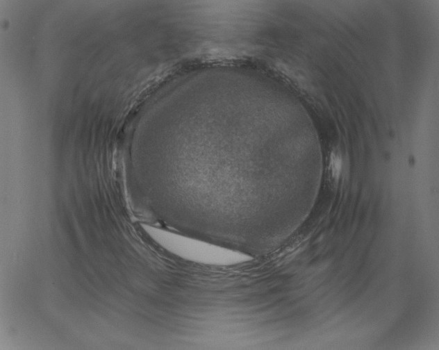 X0000067361348200604131806