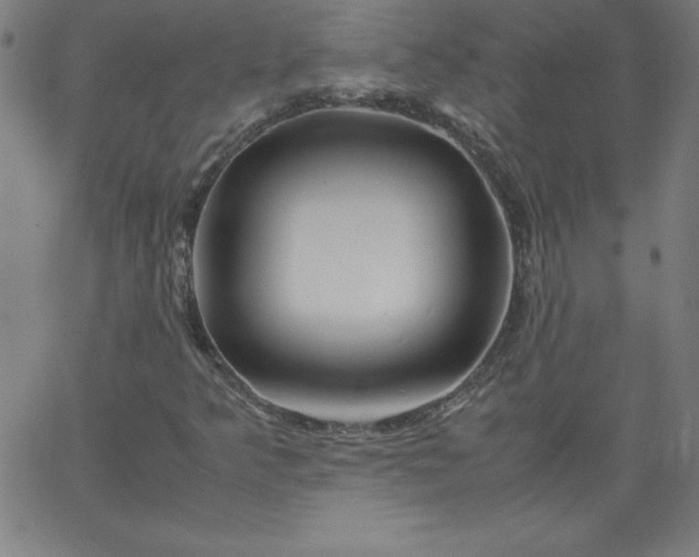 X0000067361349200604131806