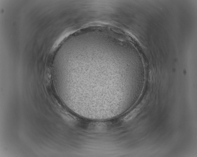 X0000067361355200604131806